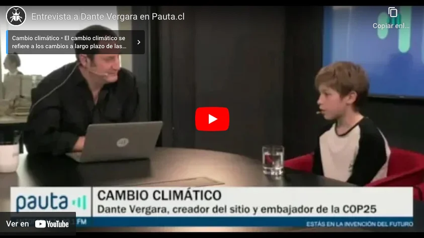 Entrevista a Dante Vergara en Pauta.cl en septiembre de 2019