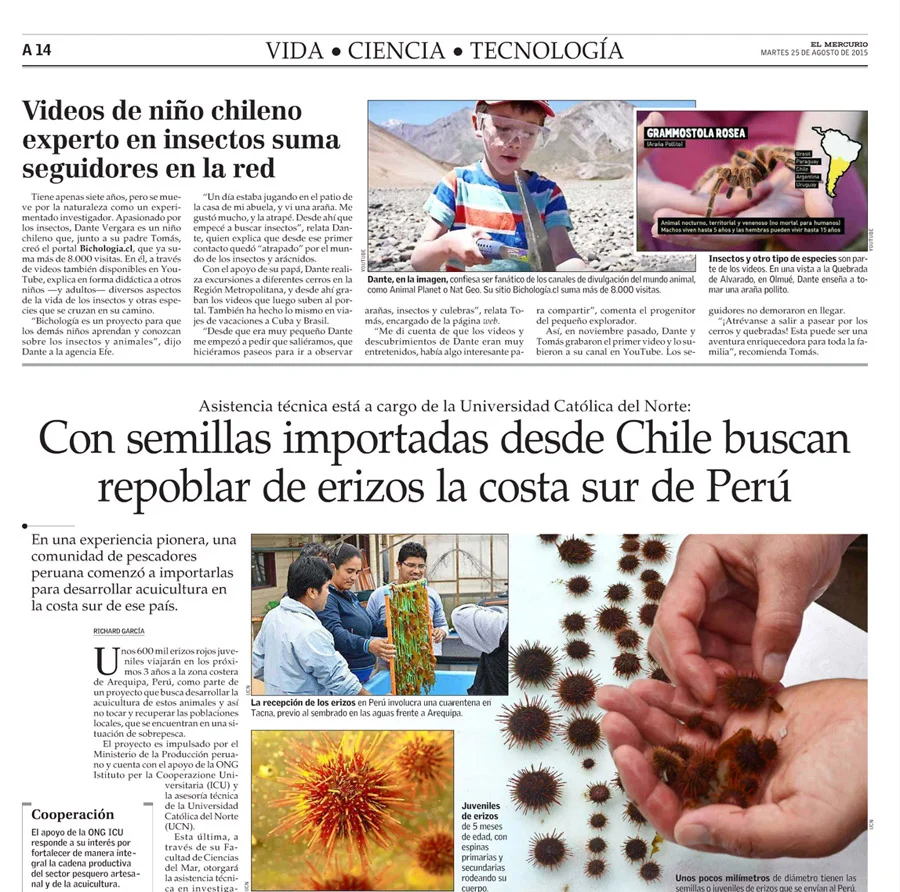 Publicación de El Mercurio sobre Bichología en agosto de 2015